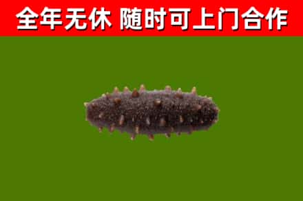 海港烟酒回收干海参.jpg
